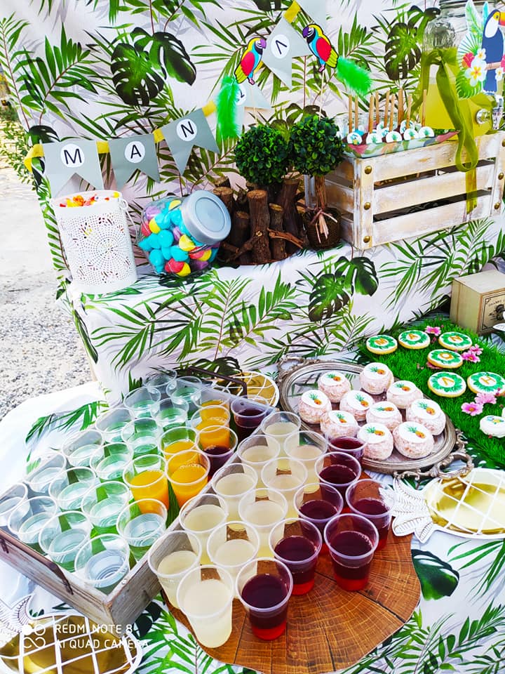 Candy bar 100 ατόμων με θέμα Τουκάν και ανανάς