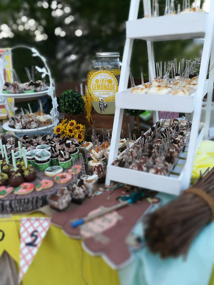 Candy bar 100 ατόμων με θέμα Ζωάκια του δάσους