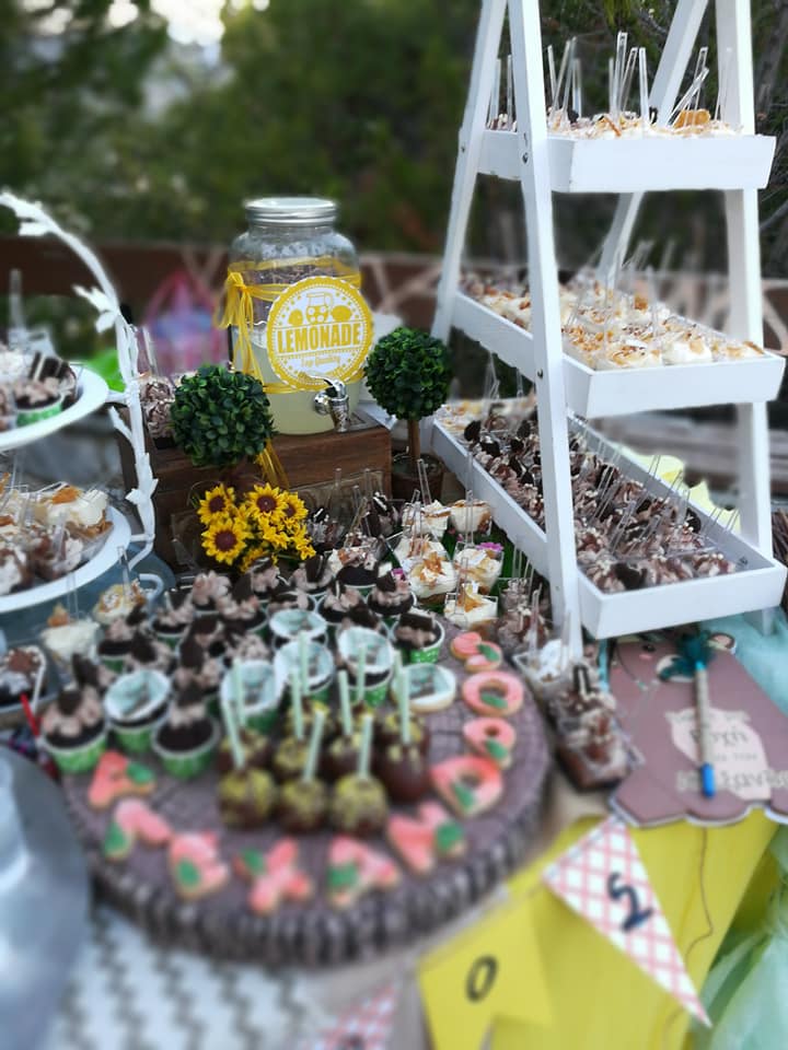 Candy bar 100 ατόμων με θέμα Ζωάκια του δάσους