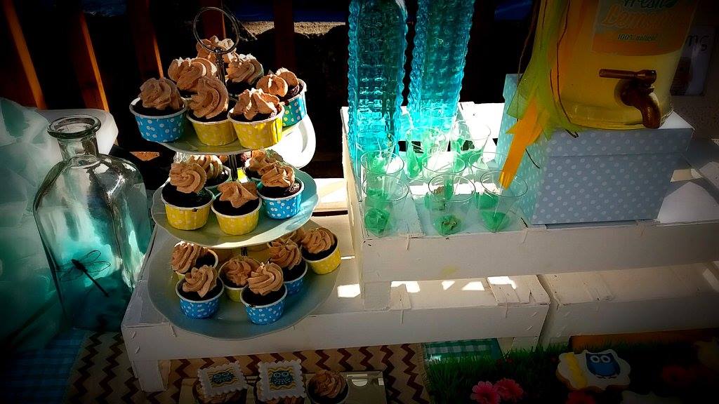Candy bar 100 ατόμων με θέμα κουκουβάγια