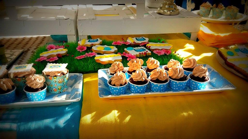 Candy bar 100 ατόμων με θέμα κουκουβάγια
