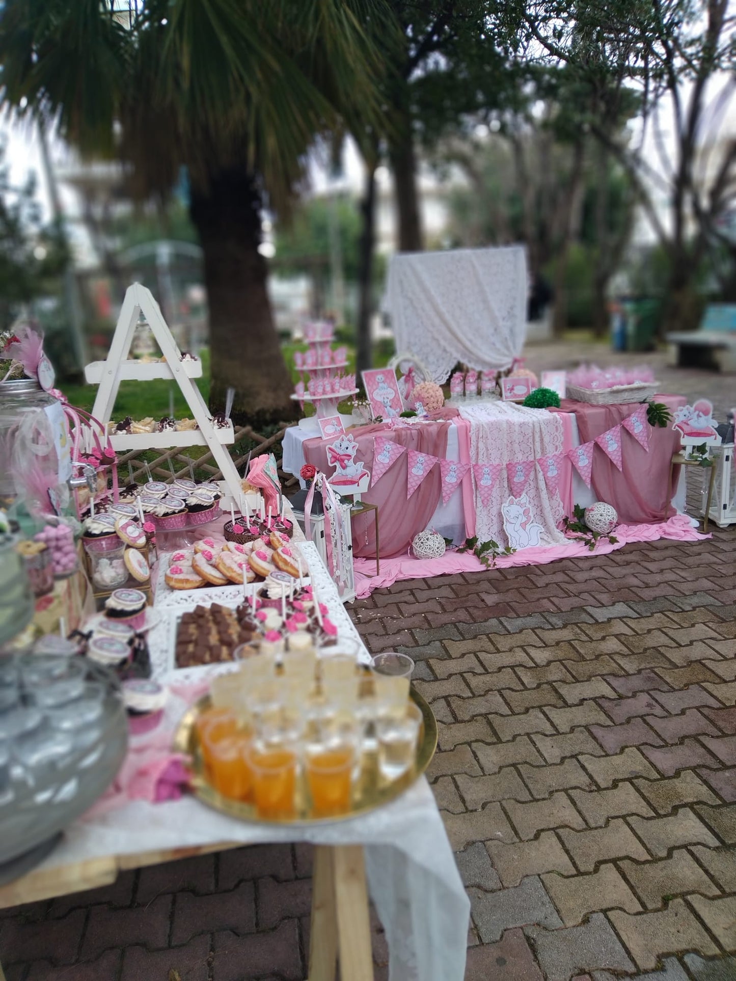 Candy bar 100 ατόμων με θέμα Αριστόγατες