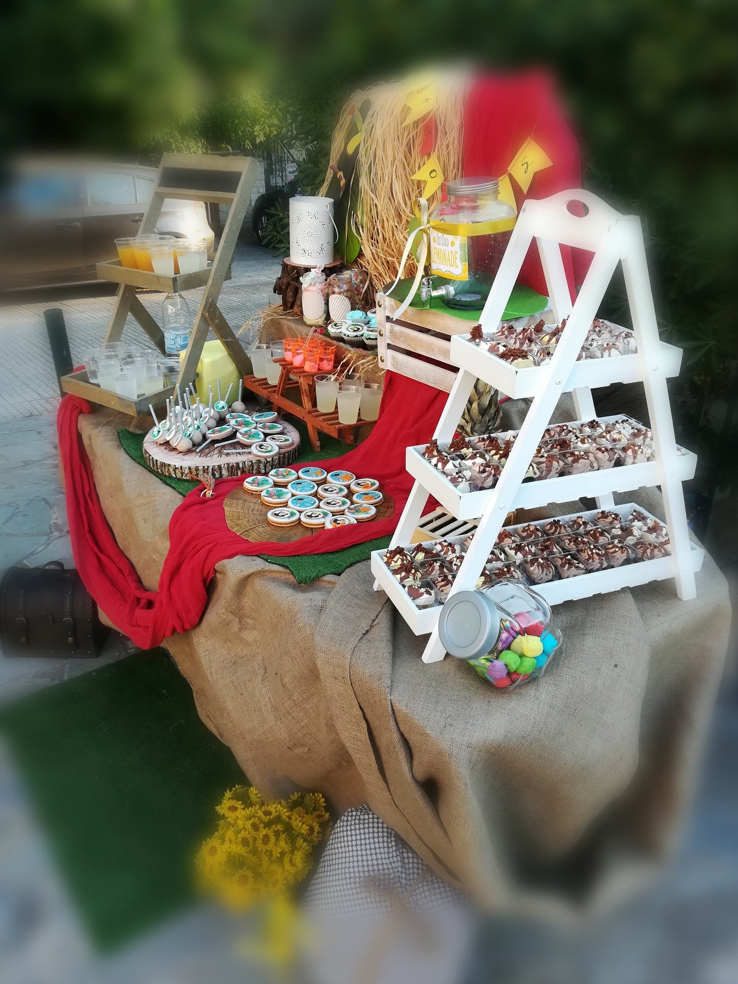 Candy bar 100 ατόμων με θέμα Παπαγάλος