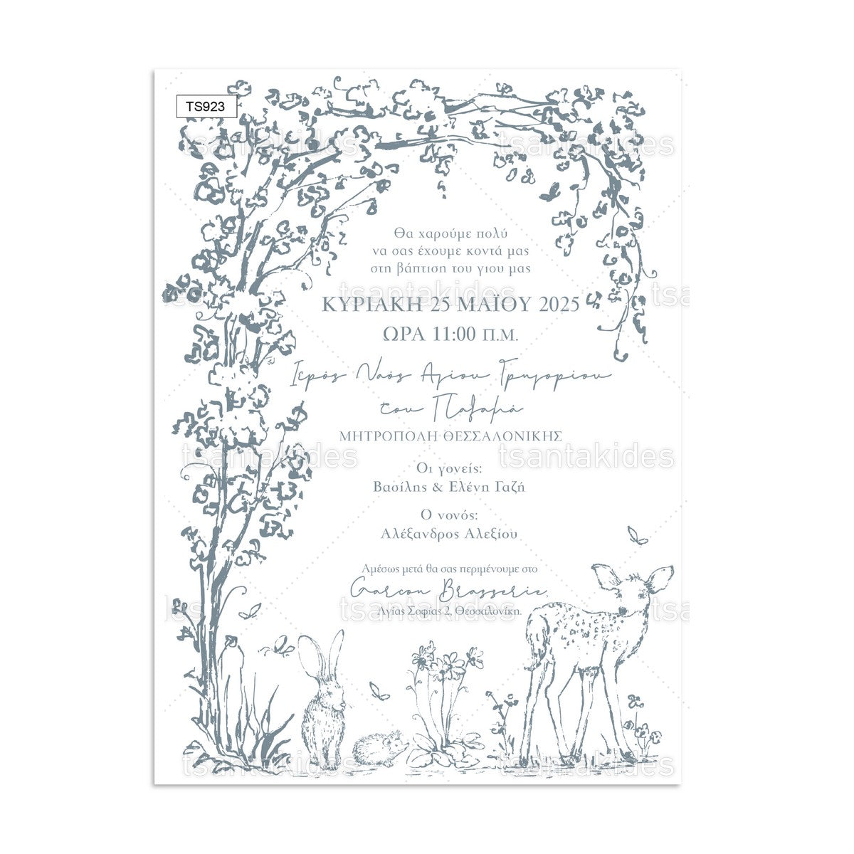 Προσκλητήριο Βάπτισης Forest Animals Monochromatic TS923