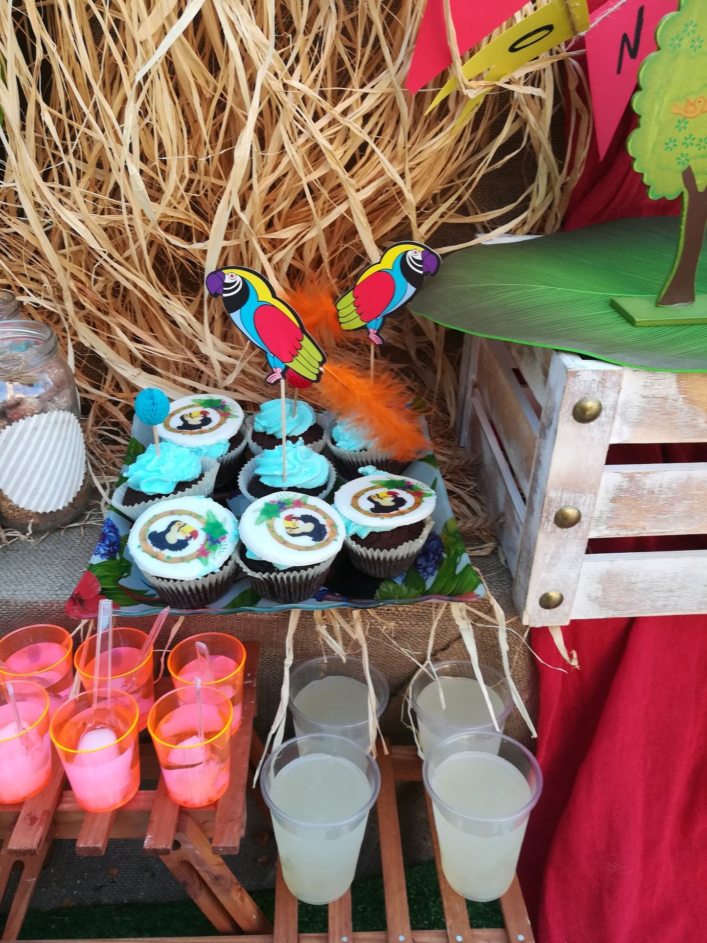 Candy bar 100 ατόμων με θέμα Παπαγάλος